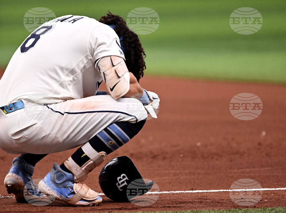 White Sox Rays Baseball