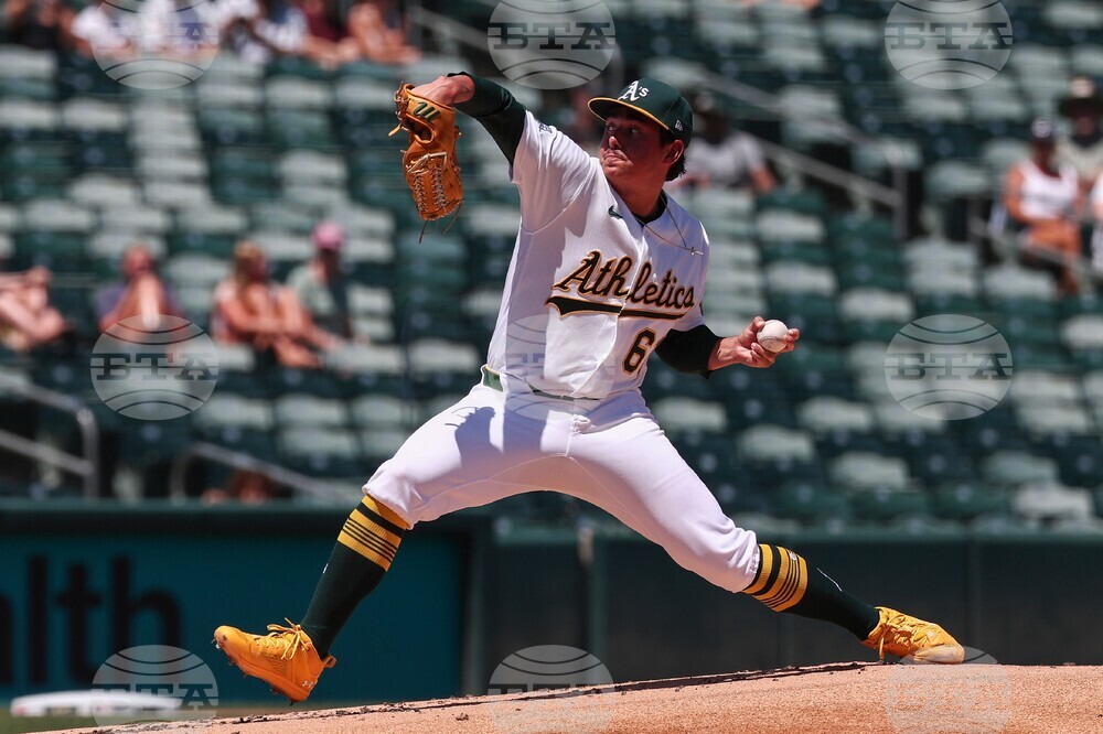 Tigers Athletics Baseball