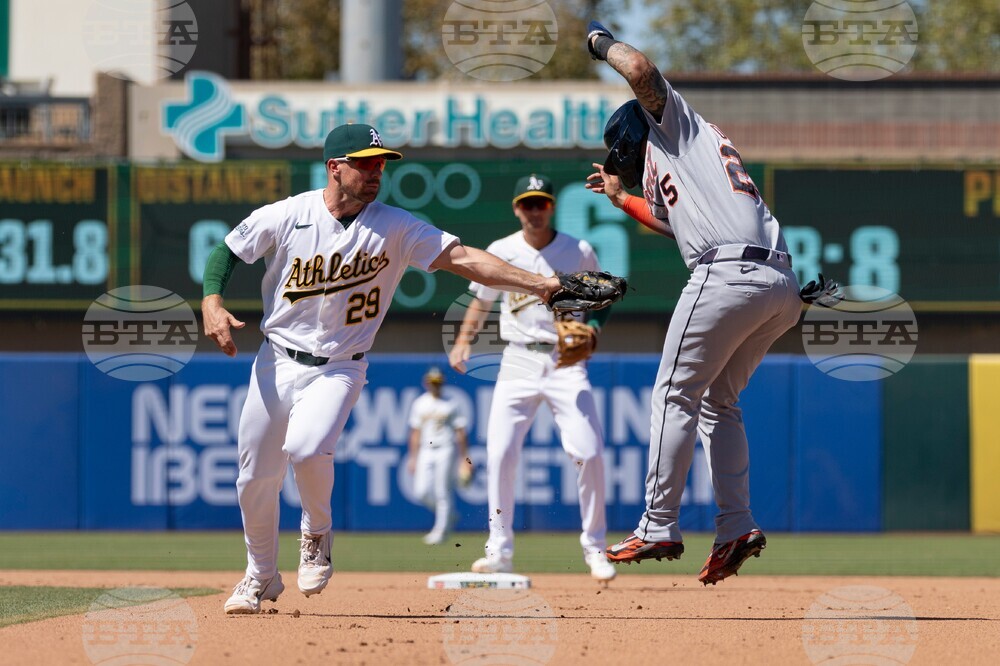 Tigers Athletics Baseball