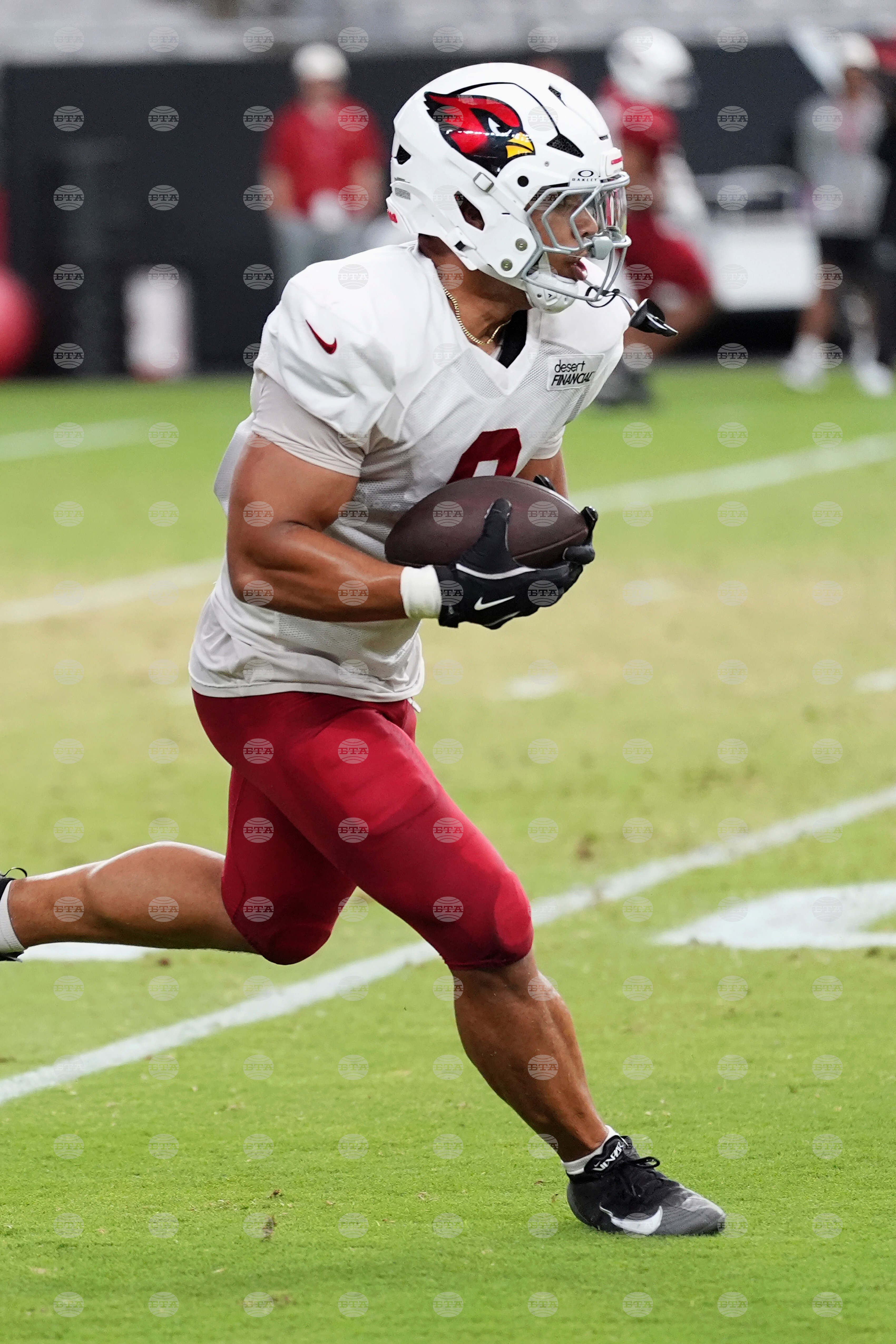 Cardinals Camp Football