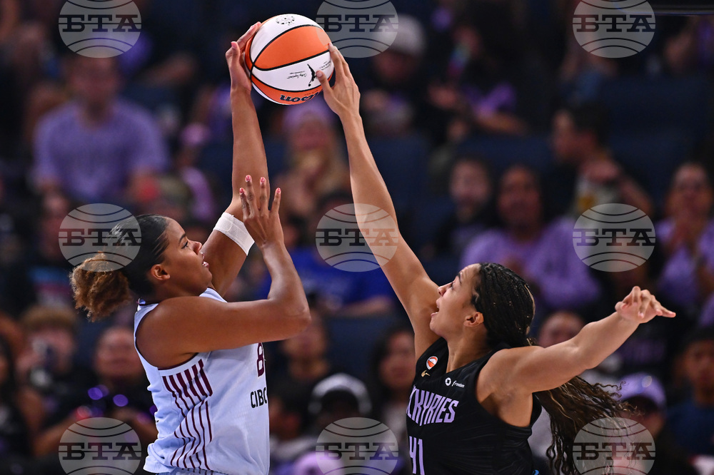 WNBA Tempo Valkyries Basketball