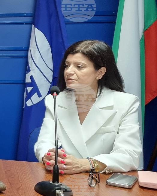 Темата за дигиталните технологии постави началникът на РУО – Сливен Кристияна Добрева-Станкова по време на дискусията за Пенчо Славейков