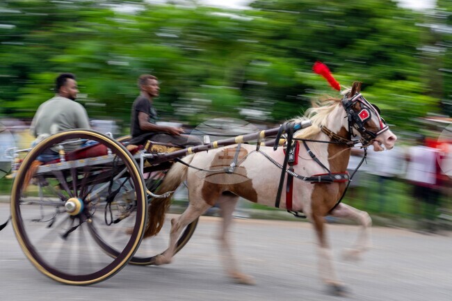 India Monsoon Race