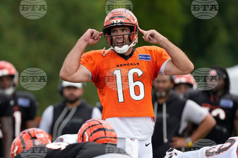 Bengals Camp Football