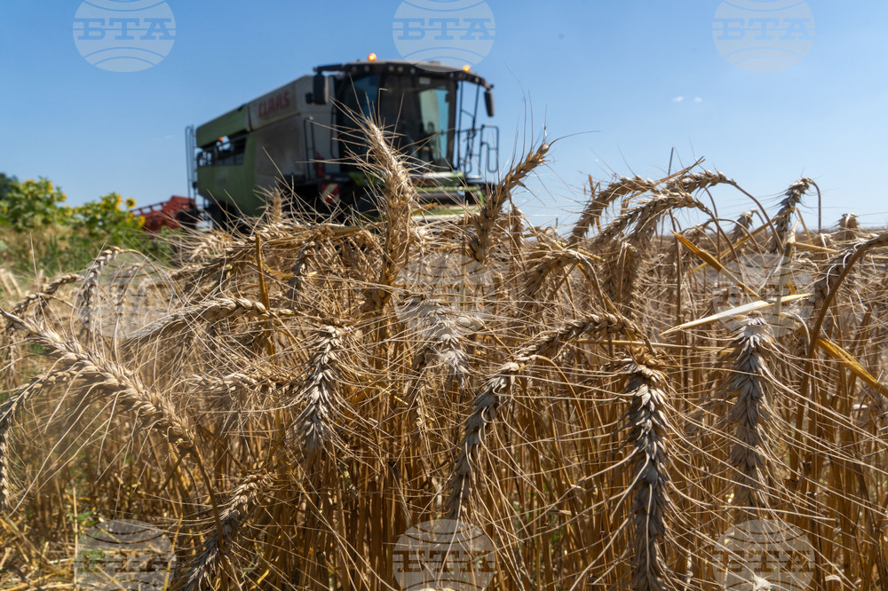 Russia Ukraine War Harvest