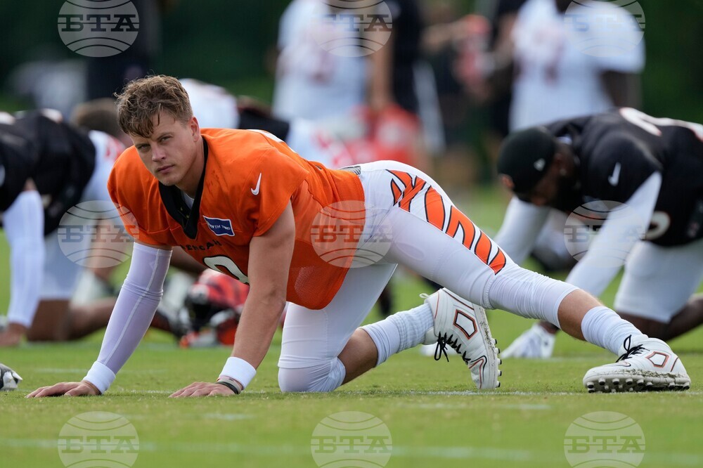 Bengals Camp Football