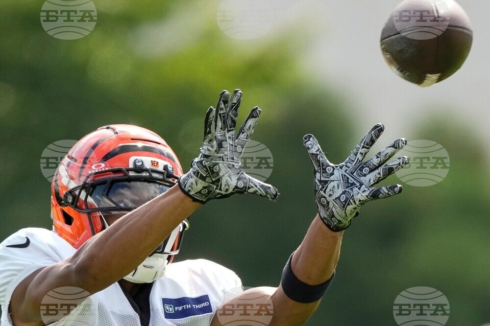 Bengals Camp Football