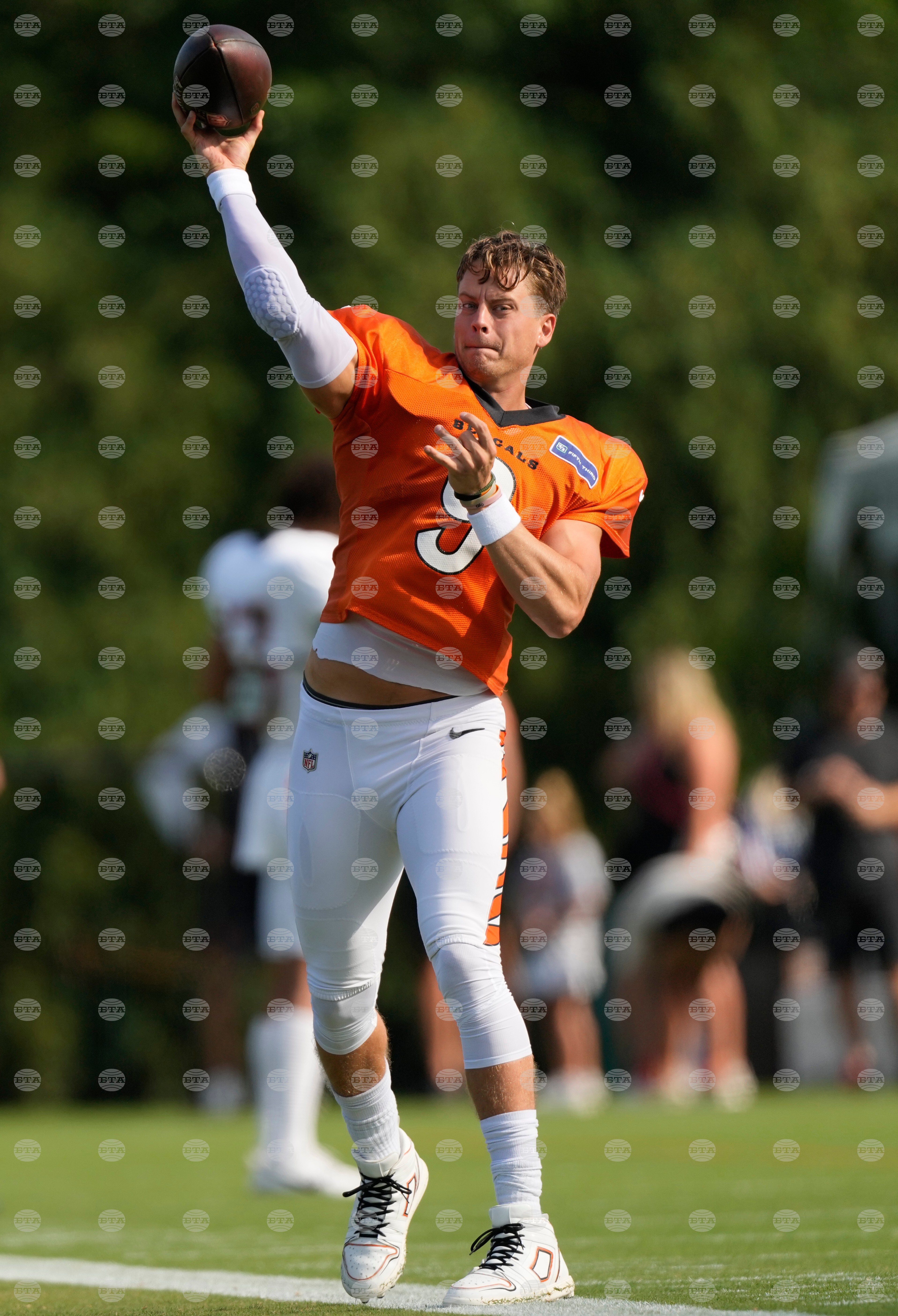 Bengals Camp Football