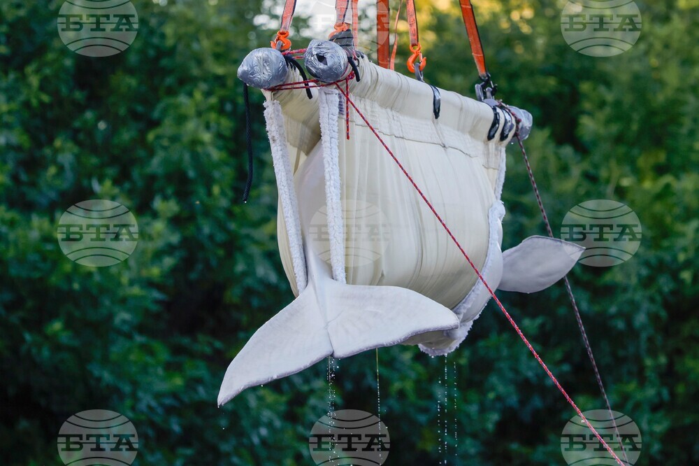 Canada Beluga Whales