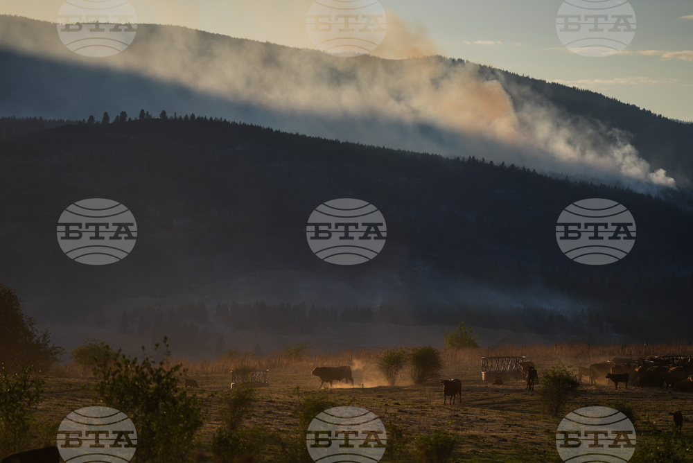 Canada Wildfires