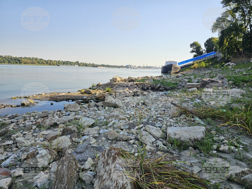 Many Vessels Waiting to Pass Critical Danube Sections, Some Grounded Outside Navigation Channel