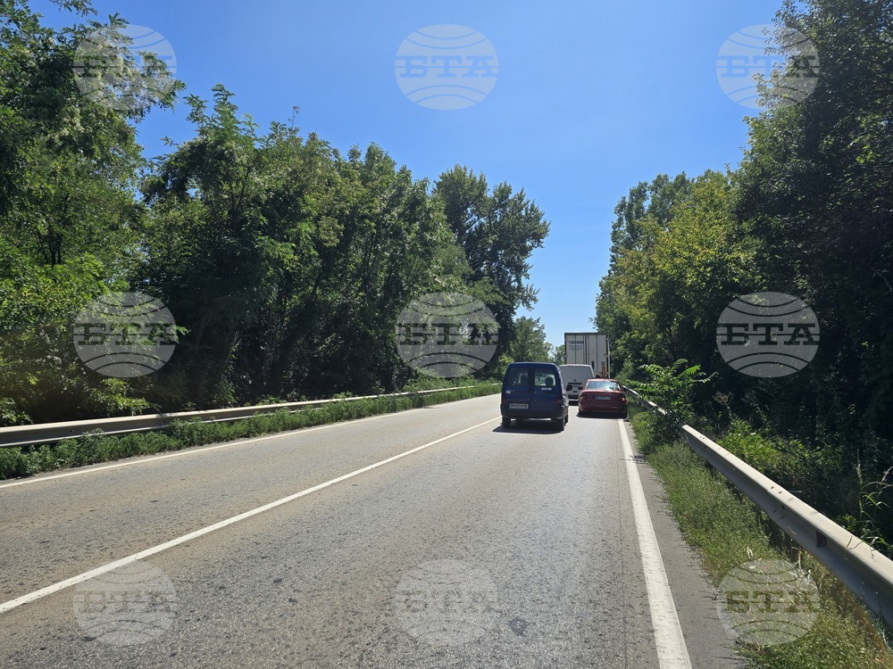 Заради катастрофа движението на път I-1 Видин – Дунавци се осъществява в една лента при 12-ия километър