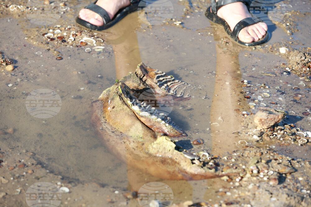 Danube - Drought  - Problems