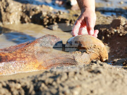 Danube - Drought  - Problems