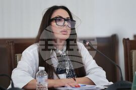 Народно събрание - Комисия по политиките за българите извън страната - извънредно заседание
