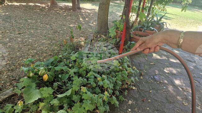 Забраняват използването на питейна вода за непитейни нужди във всички населени места в община Троян, но няма опасност от воден режим