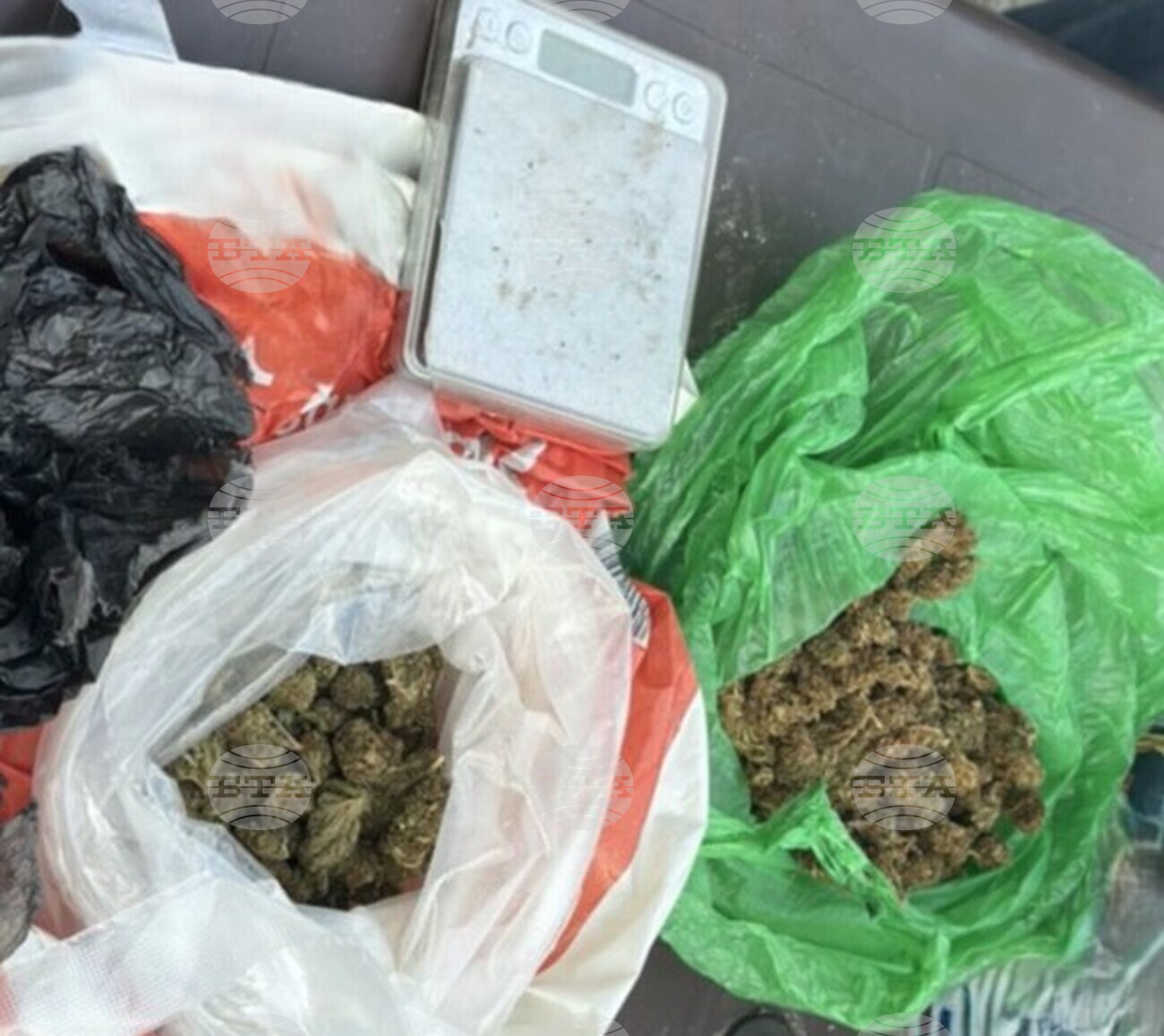 Канабисови насаждения и над 1,5 килограма готова за употреба марихуана са иззети в Сопот, арестуван е 30-годишен мъж