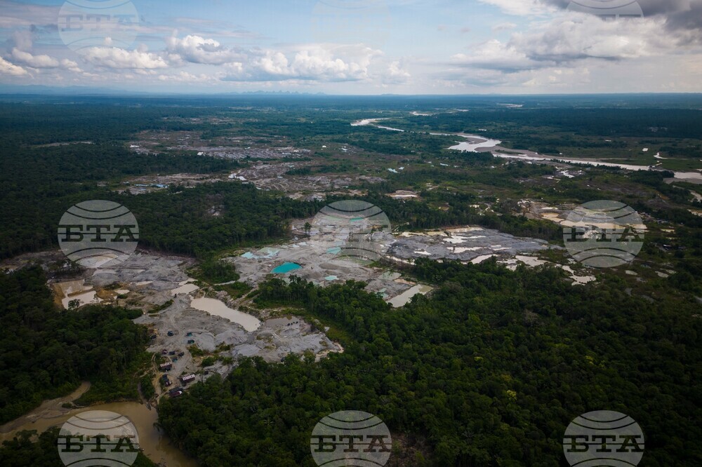 Amazon Environmental Crime