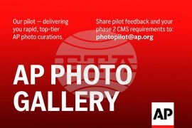 Photos of the Day