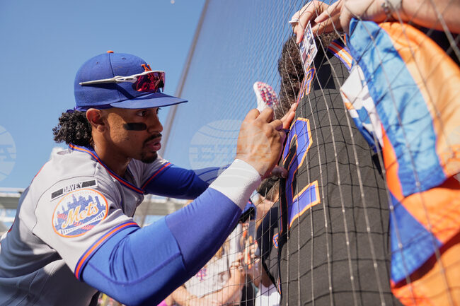 Mets Guardians Baseball