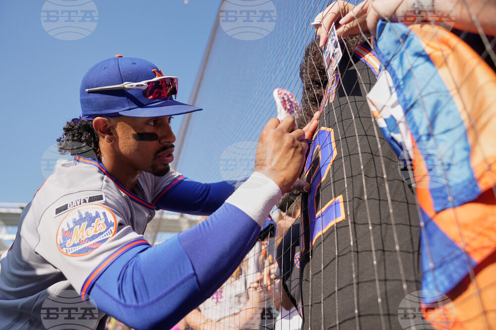 Mets Guardians Baseball