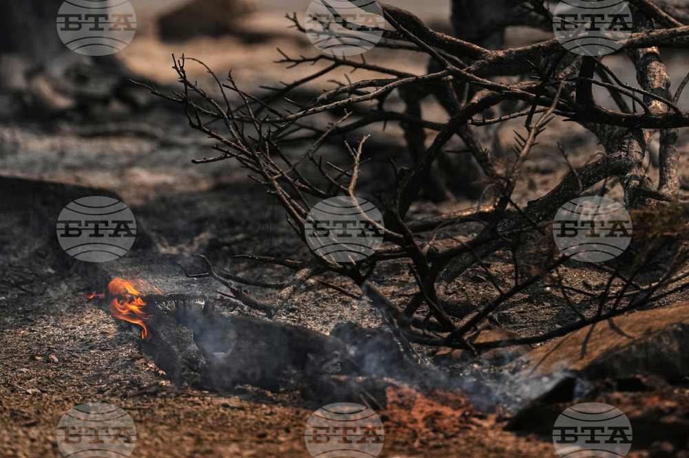 Western Wildfires