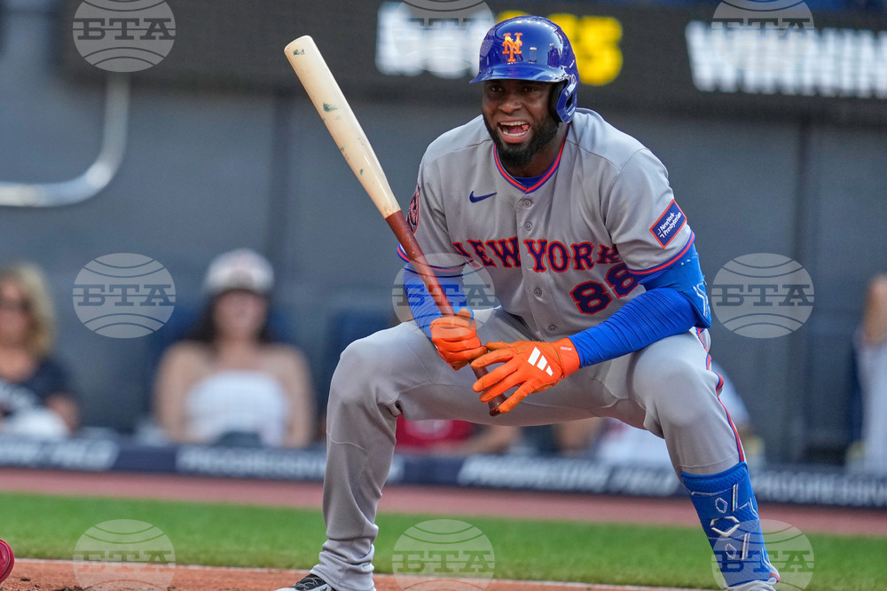 Mets Guardians Baseball