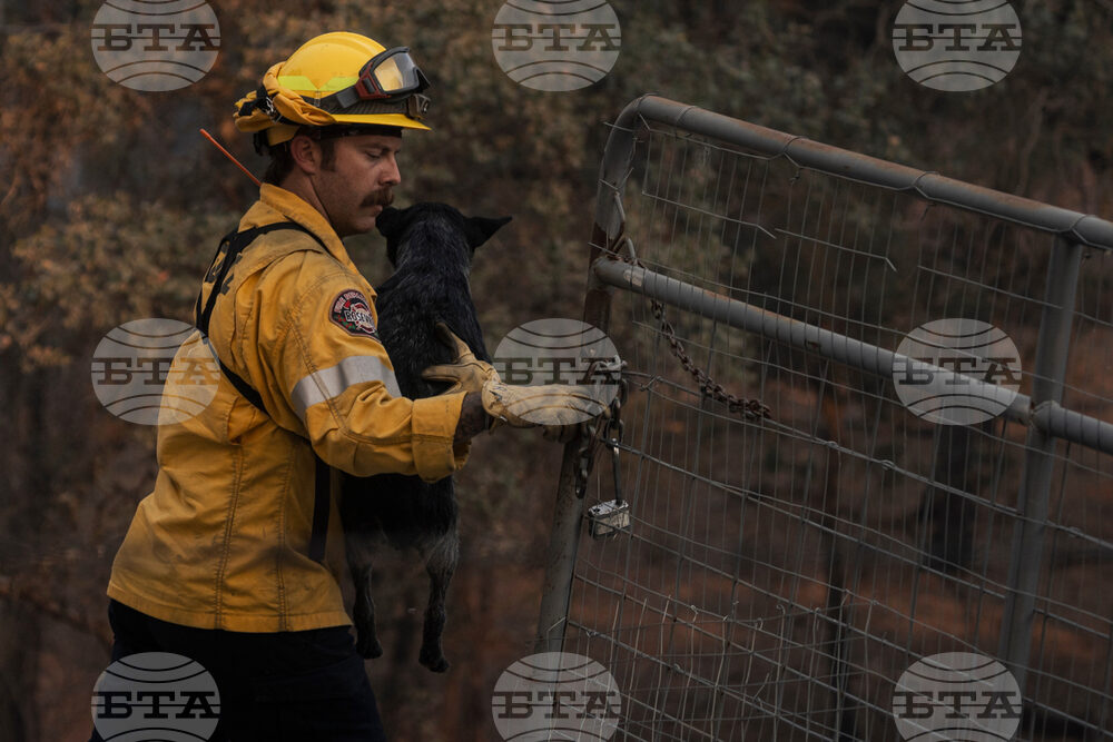 California Wildfires