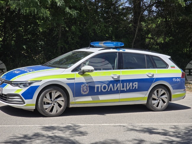 Жена пострада при пътен инцидент на пешеходна пътека в Плевен