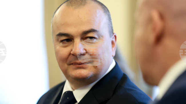 Agriculture Minister Urges European Commission to Support Bulgarian Pig Farmers, Dairy Producers