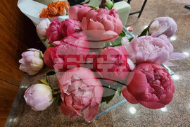 Швейцария - Женева - Цветана Манева - книга - представяне