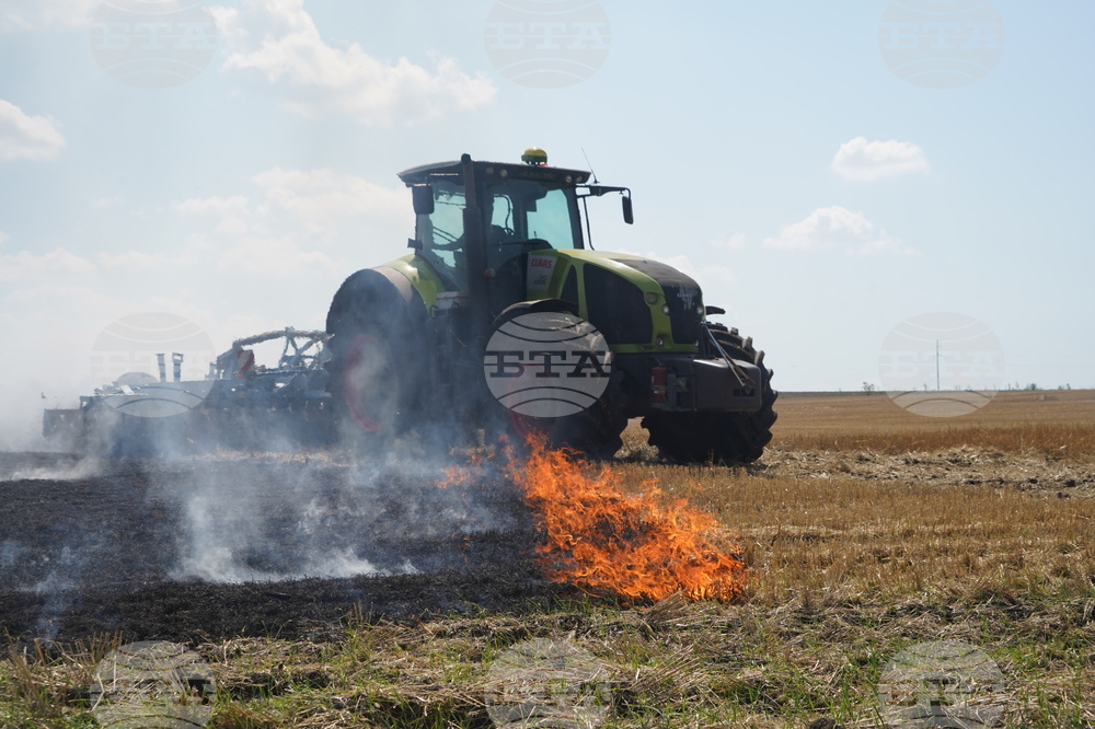 Russia Ukraine War Harvest