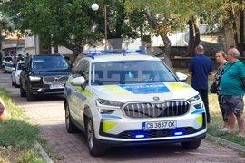 Дупница - икона - Света Богородица - Хавайска