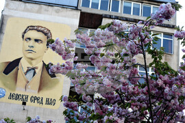 Бургас - японски вишни - цъфтеж