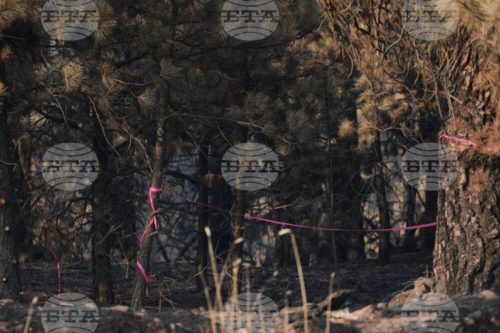 Western Wildfires