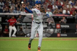 Mets Guardians Baseball