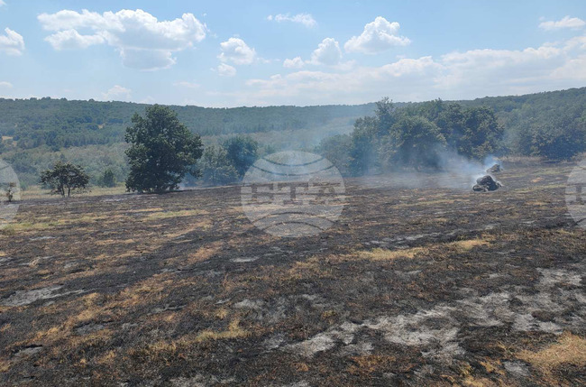 Пожар гори в сухи треви и горски масив край тополовградското село Българска поляна
