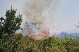 Пазарджик - АМ „Тракия“ - пожар