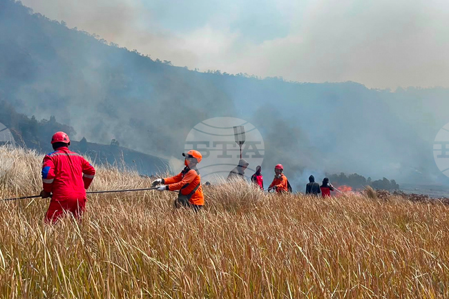 Indonesia Wildfire