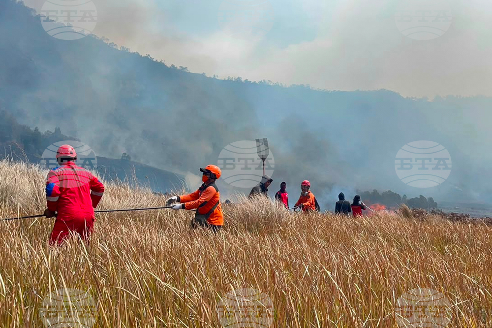 Indonesia Wildfire
