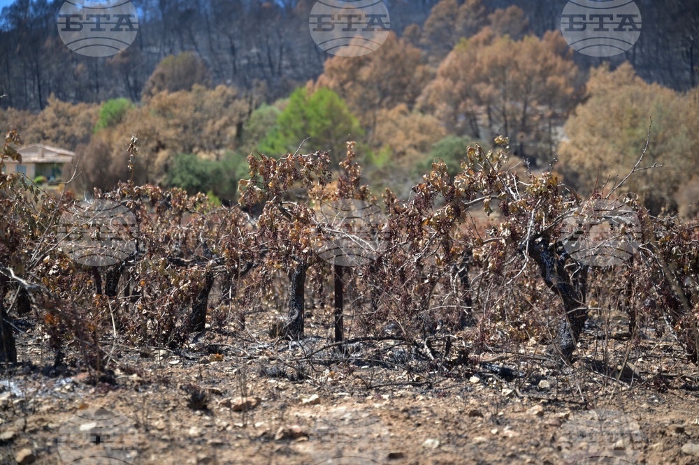 France Wildfires