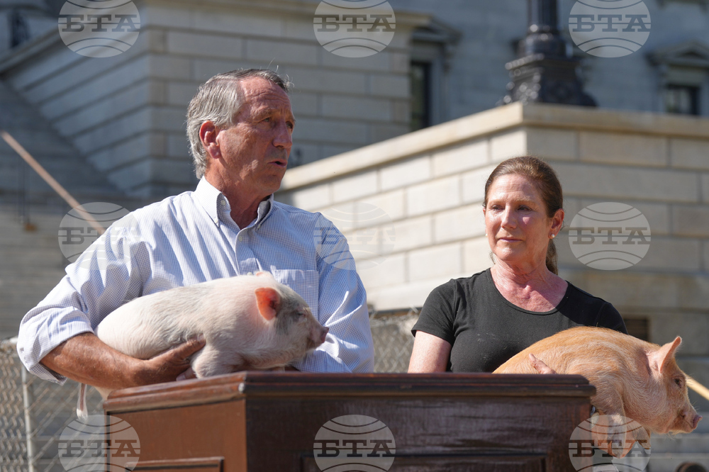 Election 2026 Senate South Carolina