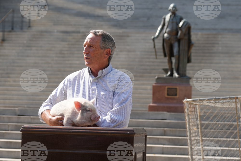 Election 2026 Senate South Carolina