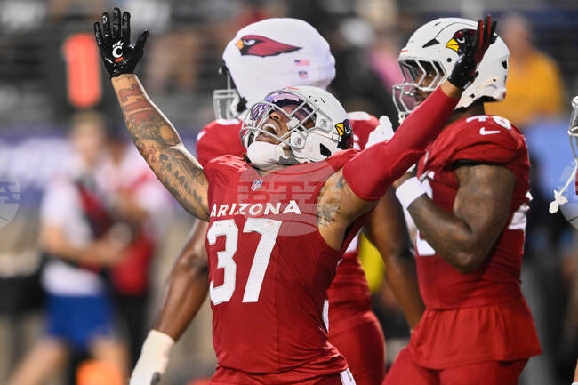APTOPIX Panthers Cardinals Football