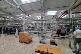 Сливен - „Фрукто Сливен“ - продукция
