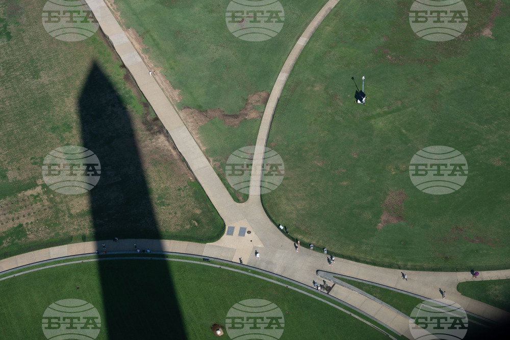 National Mall Grass
