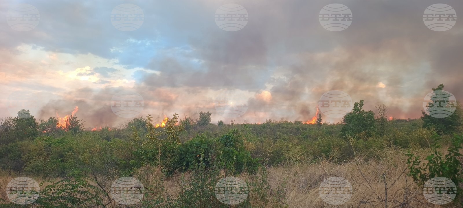 Общо 11 екипа на пожарната се борят с пожар между Първомай и село Брягово