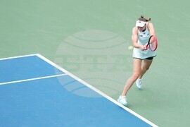 Toronto Tennis