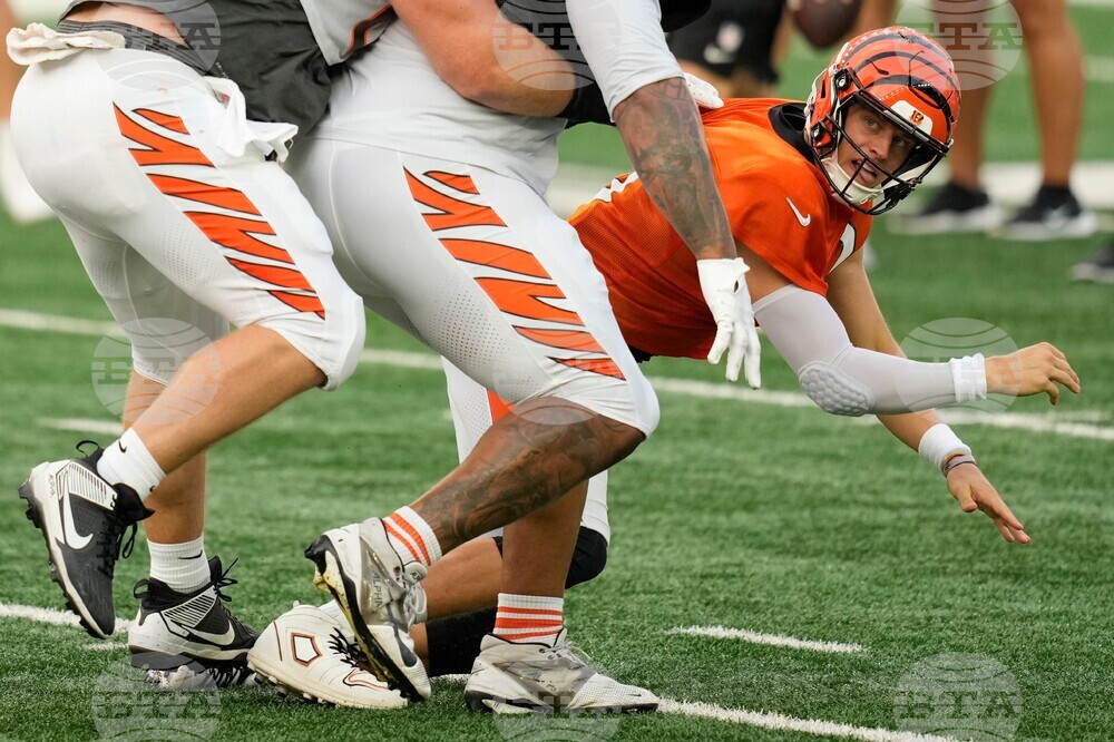 Bengals Football