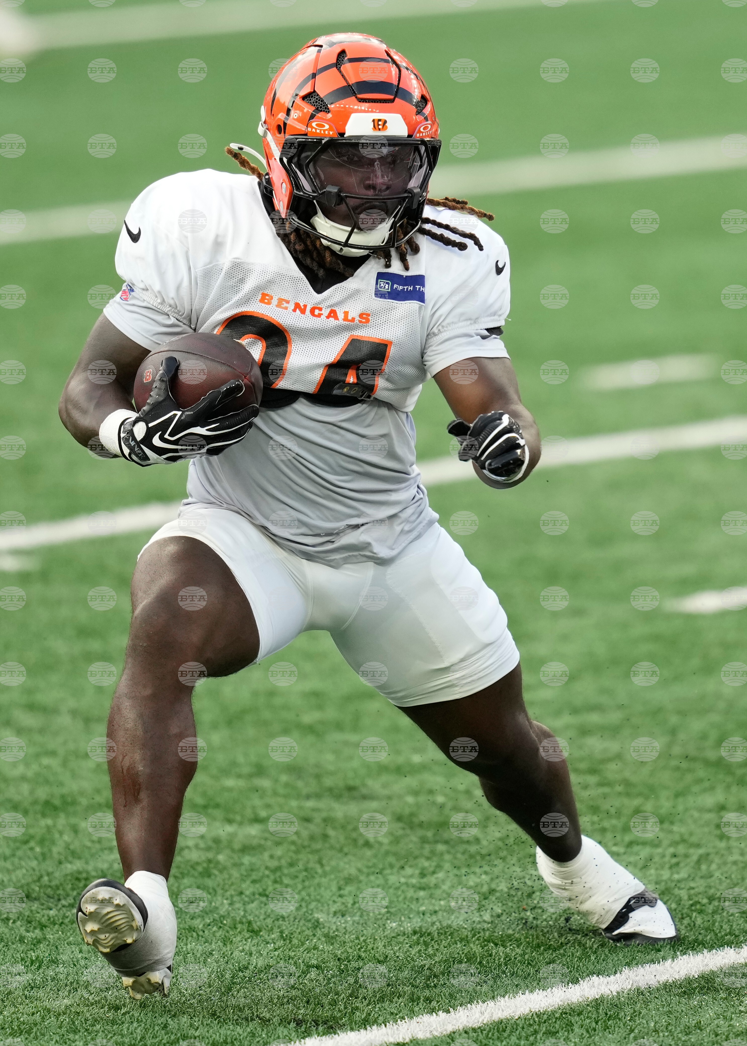 Bengals Football